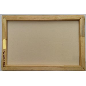 TELA DE PINTURA 30x40CM